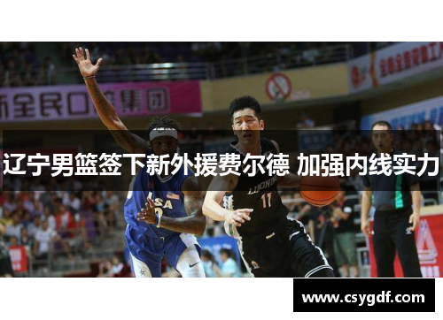 辽宁男篮签下新外援费尔德 加强内线实力